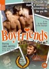 Boyfriends (1996).jpg
